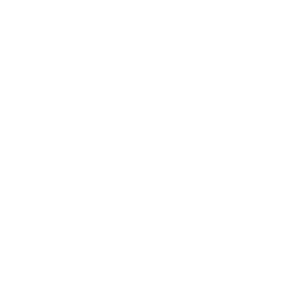 salvita logo